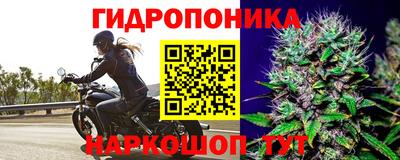 соль ск Гатчина
