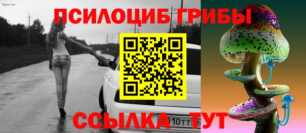 Гай  Галлюциногенные грибы прущие грибы  Вход с VPN 